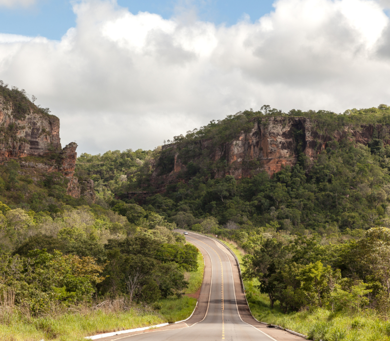 _Identidade Visual - Casa Guarnicê (1)